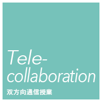 Telecollaboration