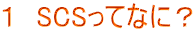 P@SCSĂȂɁH