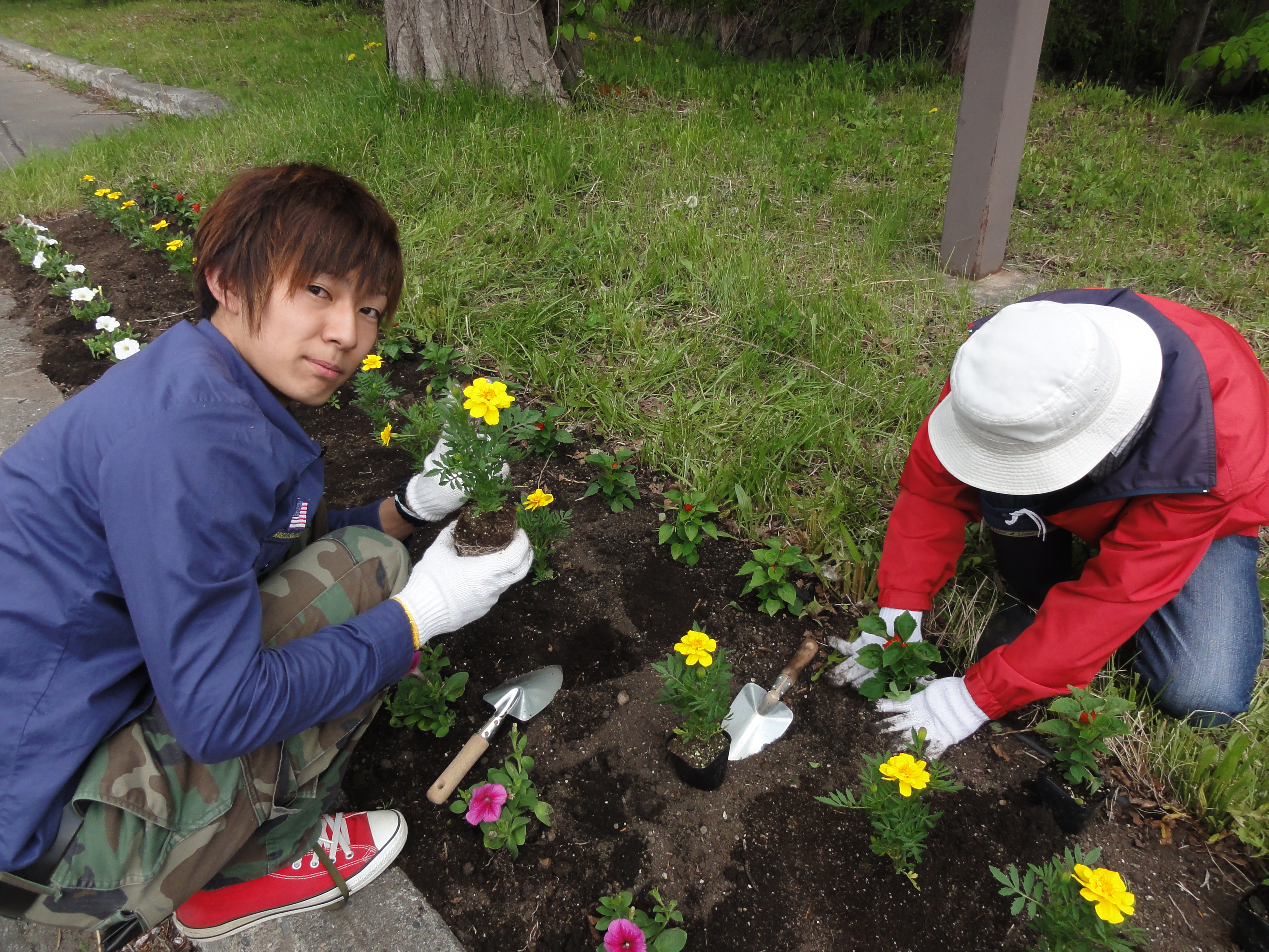 110627gardening3.JPG