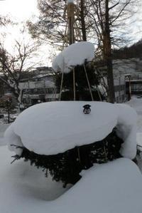 20111225risu-1.JPG