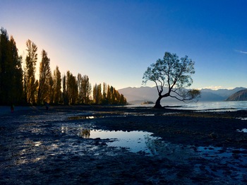 20171215otago06.jpg