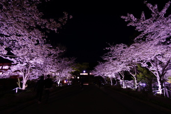 20180309greenhill.JPG