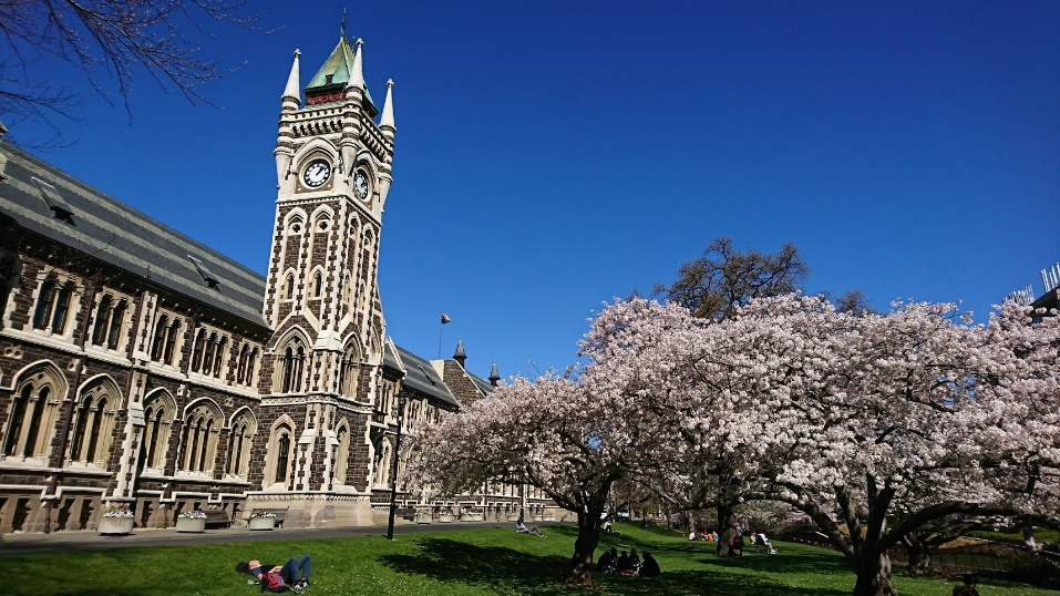 20180926otago-2.jpg