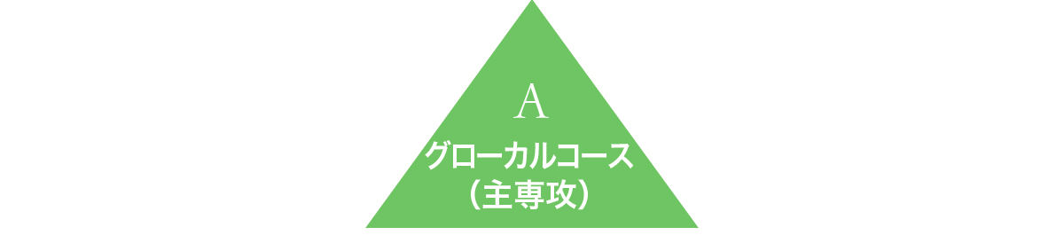 A グローカルコース（主専攻）