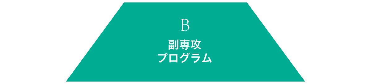 B 副専攻プログラム