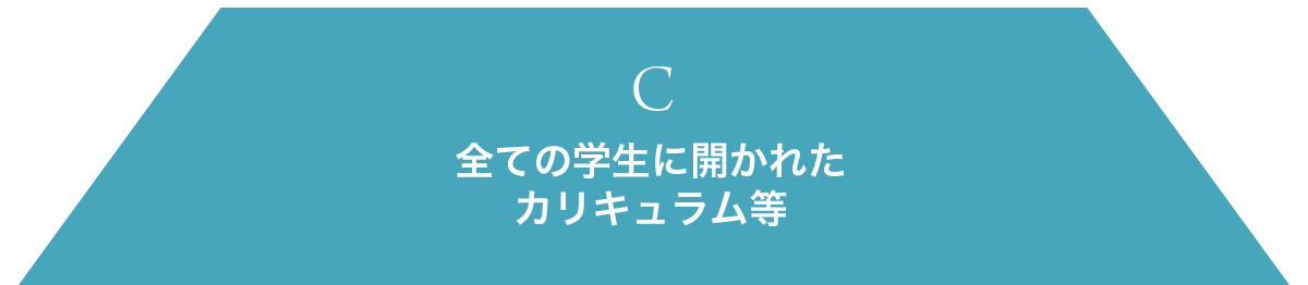 C 全ての学生に開かれたカリキュラム等