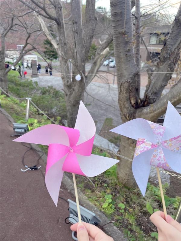 sample_photo_fox